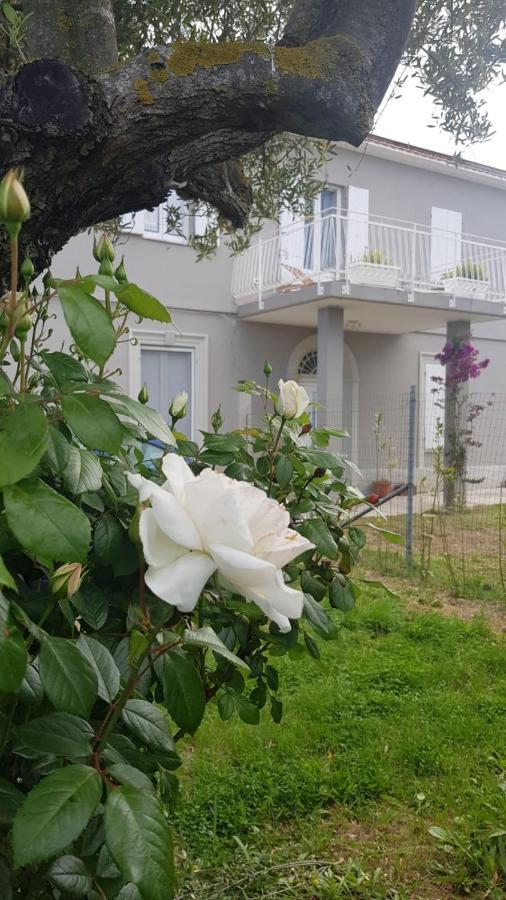 Ripari Di Giobbe Otel Ortona Dış mekan fotoğraf